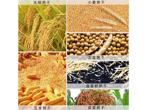 果蔬烘（hōng）幹房成為廣大農民朋友的烘（hōng）幹主力設備