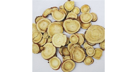 Introduction to the Application of Traditional Chinese Medicine Drying Machines: How to Achieve Drying of Medicinal Materials with Traditional Chinese Medicine Drying Machines