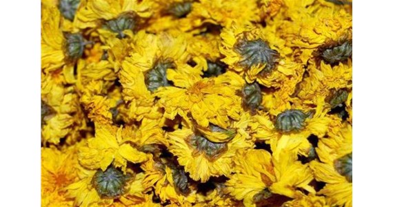 菊花烘幹（gàn）房的溫（wēn）控細節介紹