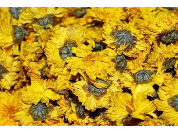箱式菊花烘（hōng）幹機和連續式（shì）菊花烘幹機介紹